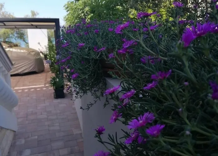 Cloe Διαμέρισμα *