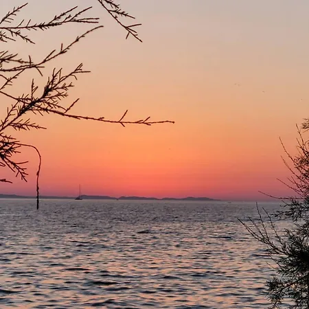 Petin Zadar